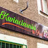 kaseton Kwiaciarnia u Ani